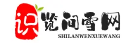 深圳识览问雪站